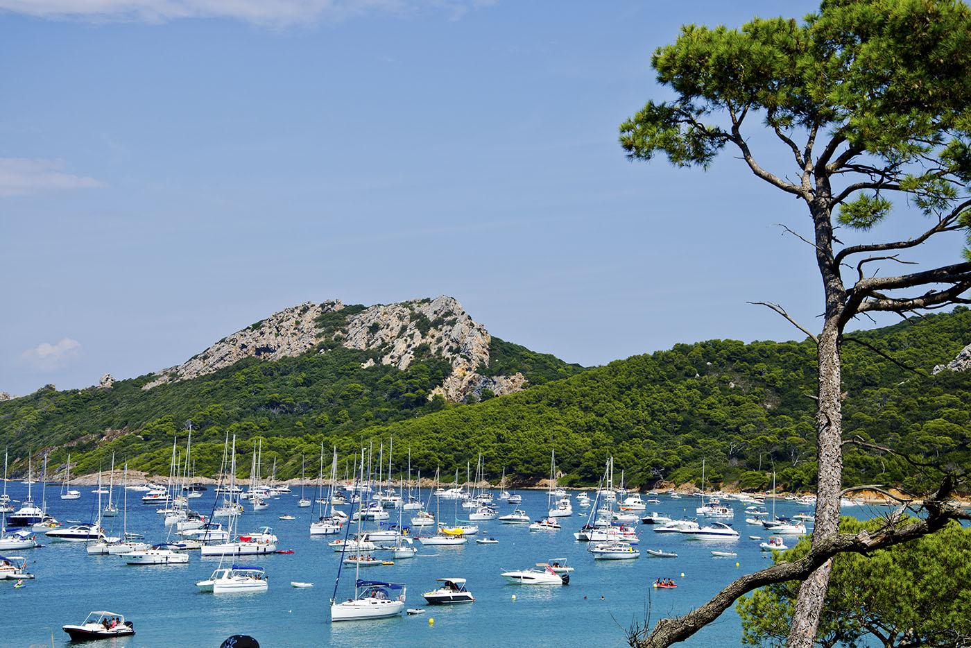 Porquerolles vue de la mer