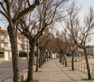 Balade aux Vieux Salins